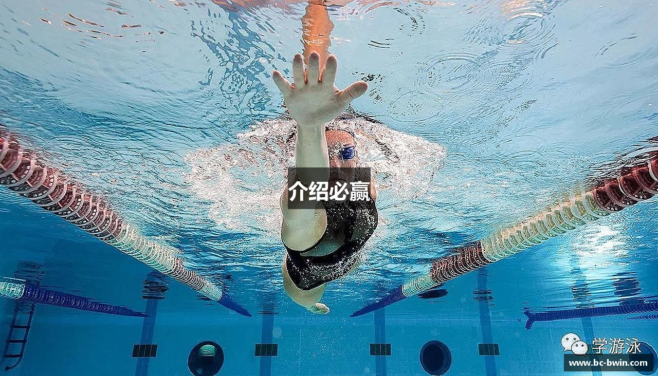 介绍必赢
